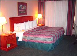 Holiday Inn Hasbrouck Heights-Meadowlands