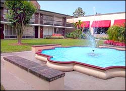 Quality Inn International