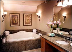 Sheraton Springfield Monarch Place Hotel